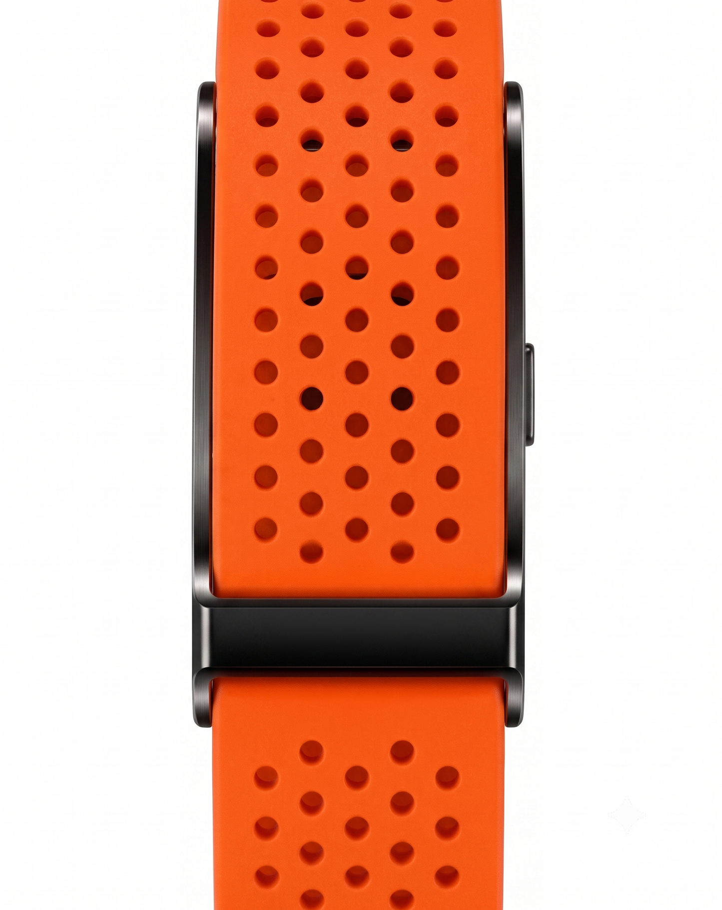 Sportband