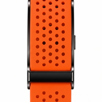 Sportband